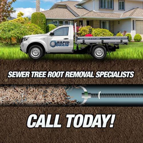 Sewer Tree Root Removal Specialists In Chandler